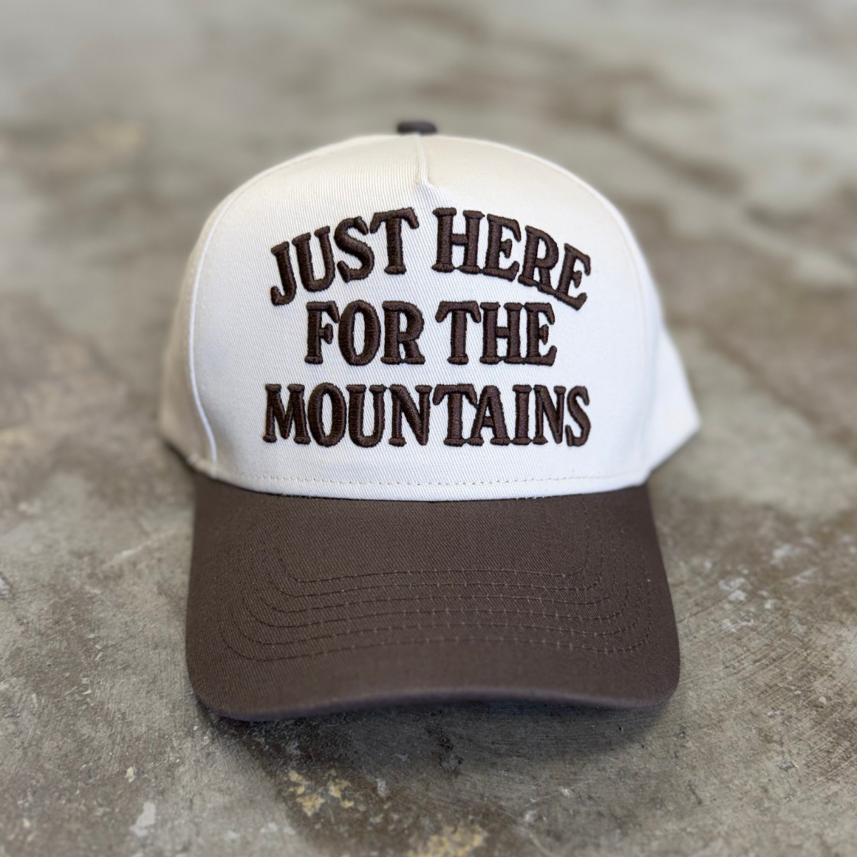 Just Here for the Mountains Embroidered Trucker - Espresso Brown