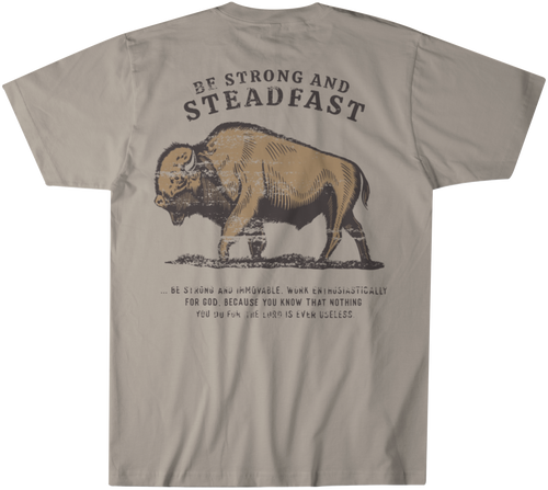 Be Strong and Steadfast Buffalo Tee